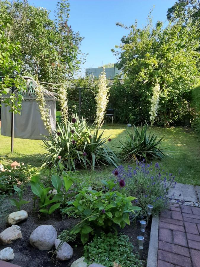Apartament - 3 Pokojowe Dwupoziomowe Mieszkanie Z Ogrodem Krokowa Eksteriør billede